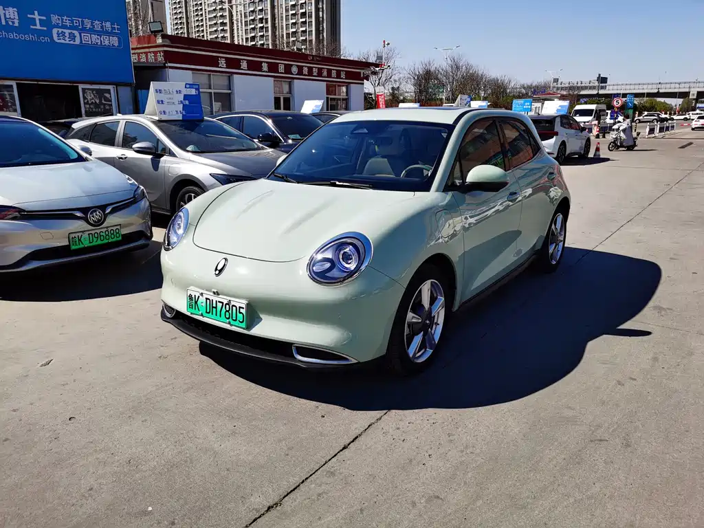 Euler Good Cat 2023 Model 401km Standard Range Honor Type Lithium Iron Phosphate купить на сайте DeffCars