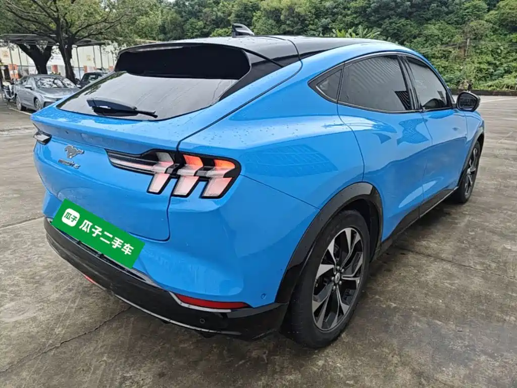 2021 Ford Mustang Mach-E Long Range Rear-Wheel Drive купить на сайте DeffCars