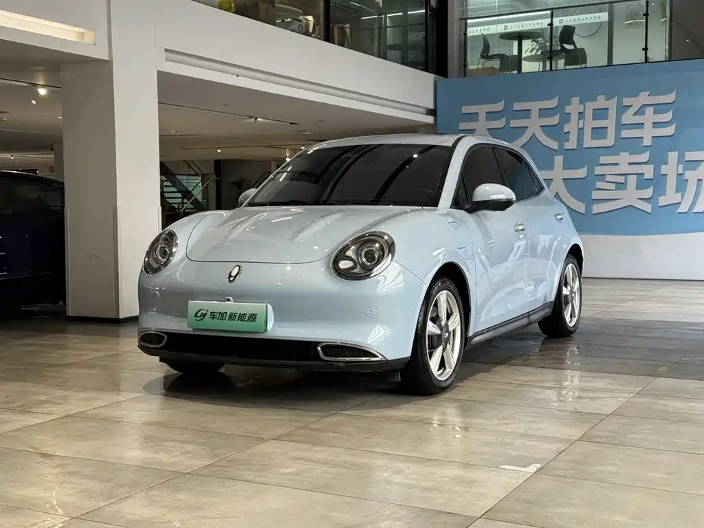 Euler Good Cat 2021 Model 400km Standard Range Venus Edition Lithium Iron Phosphate купить на сайте DeffCars