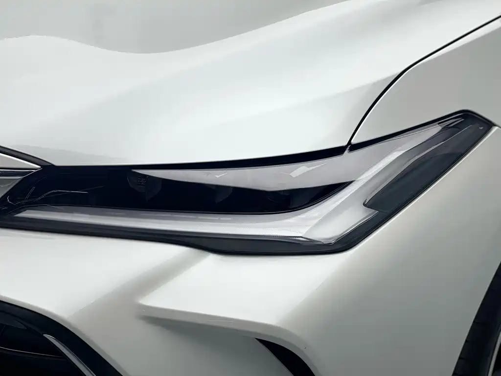 Asia Dragon 2022 2.0L Deluxe Edition купить на сайте DeffCars
