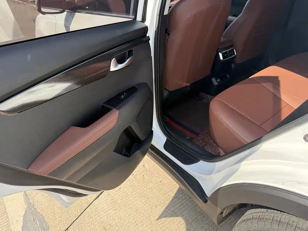 Zhipao 2021 Ace 2.0L Wonderful Edition купить на сайте DeffCars