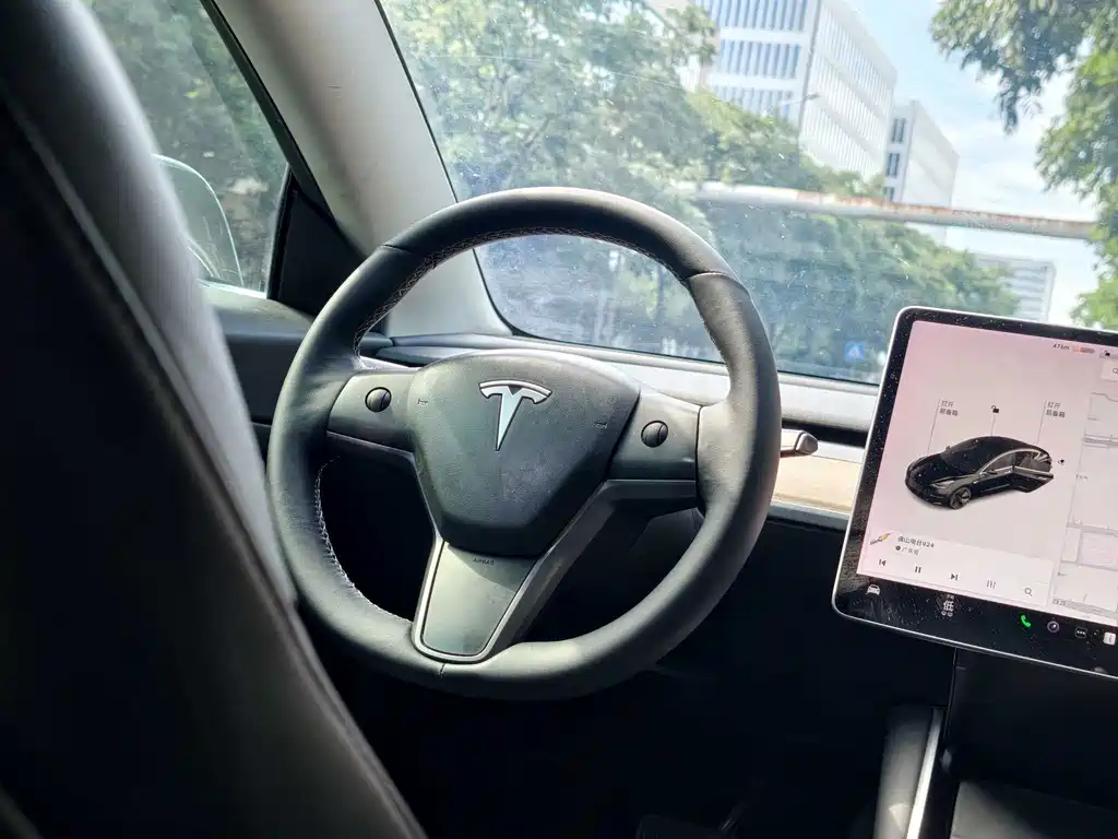 Model 3 2020 Standard Range Rear Drive Upgraded Version купить на сайте DeffCars