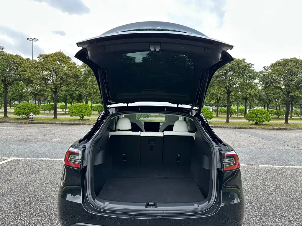 Model Y 2022 modified rear-wheel drive version купить на сайте DeffCars