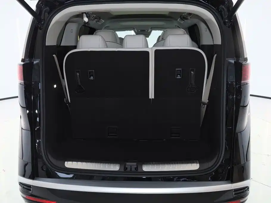 Denza D9 2024 DM-i 980 four-wheel drive premium model купить на сайте DeffCars