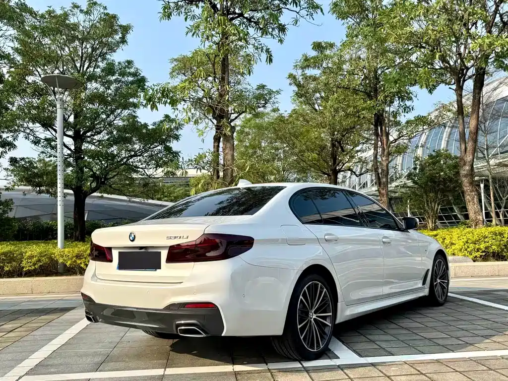 BMW 5 Series 2020 530Li xDrive M Sports Package купить на сайте DeffCars