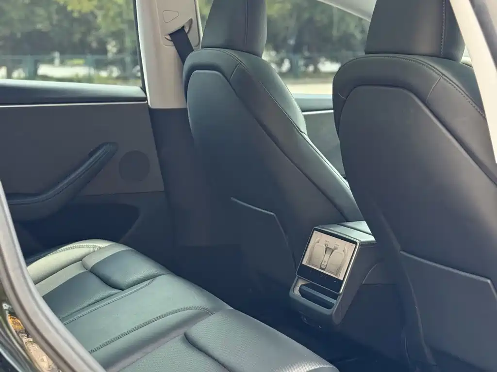 Model 3 2023 rear-wheel drive version купить на сайте DeffCars