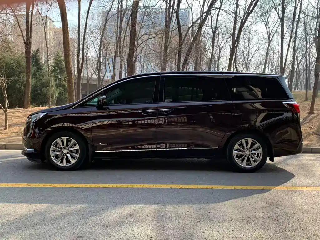 Buick GL8 2020 Avenir Six-seater Xianli Edition купить на сайте DeffCars