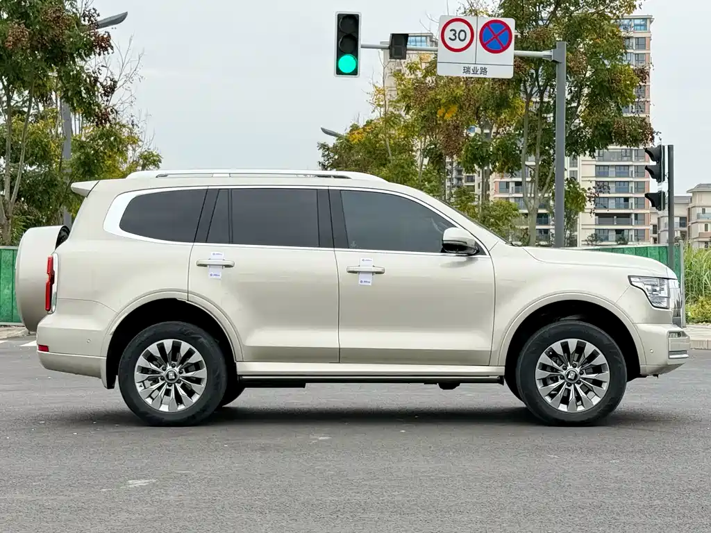 Tank 500 2022 model 3.0T sports version, environment type, 5 seats купить на сайте DeffCars