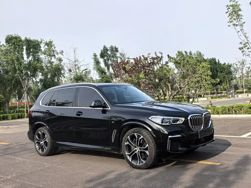 BMW X5 2022 xDrive 40Li Premium M Sport Kit купить на сайте DeffCars