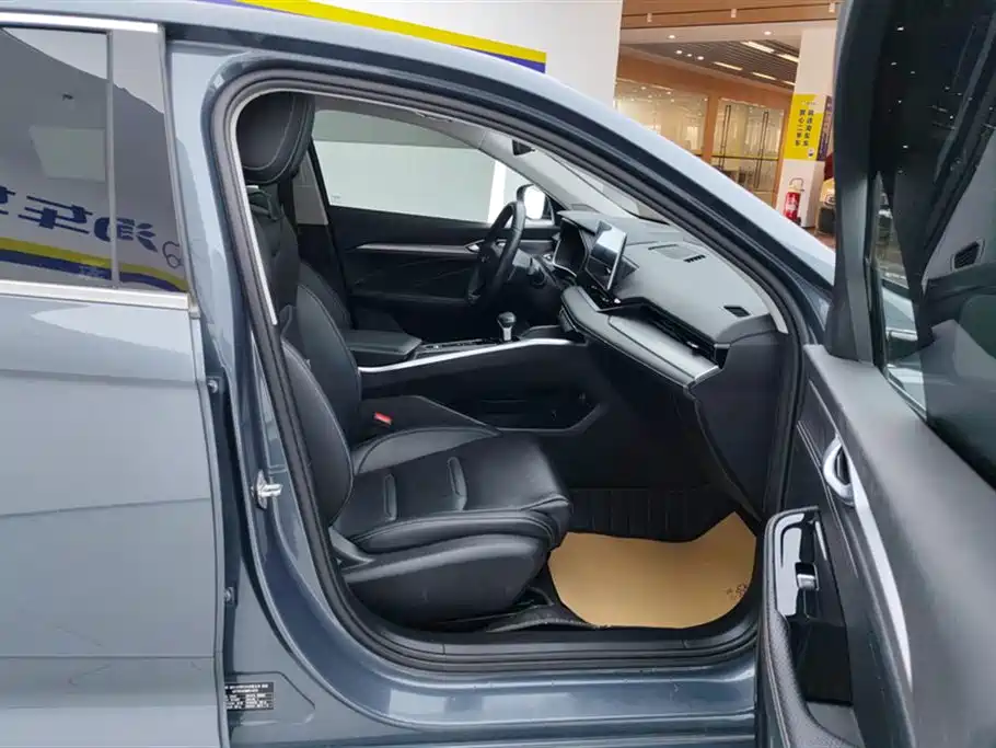 Xingrui 2021 2.0TD luxury + model купить на сайте DeffCars