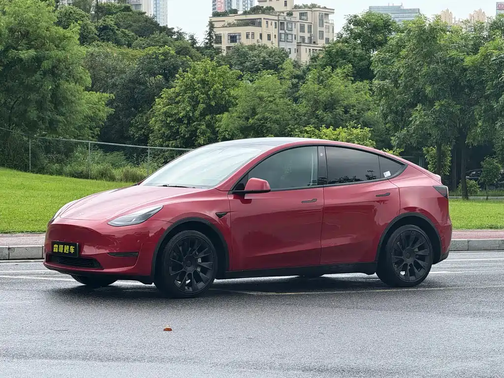 Model Y 2021 long-range all-wheel drive version купить на сайте DeffCars