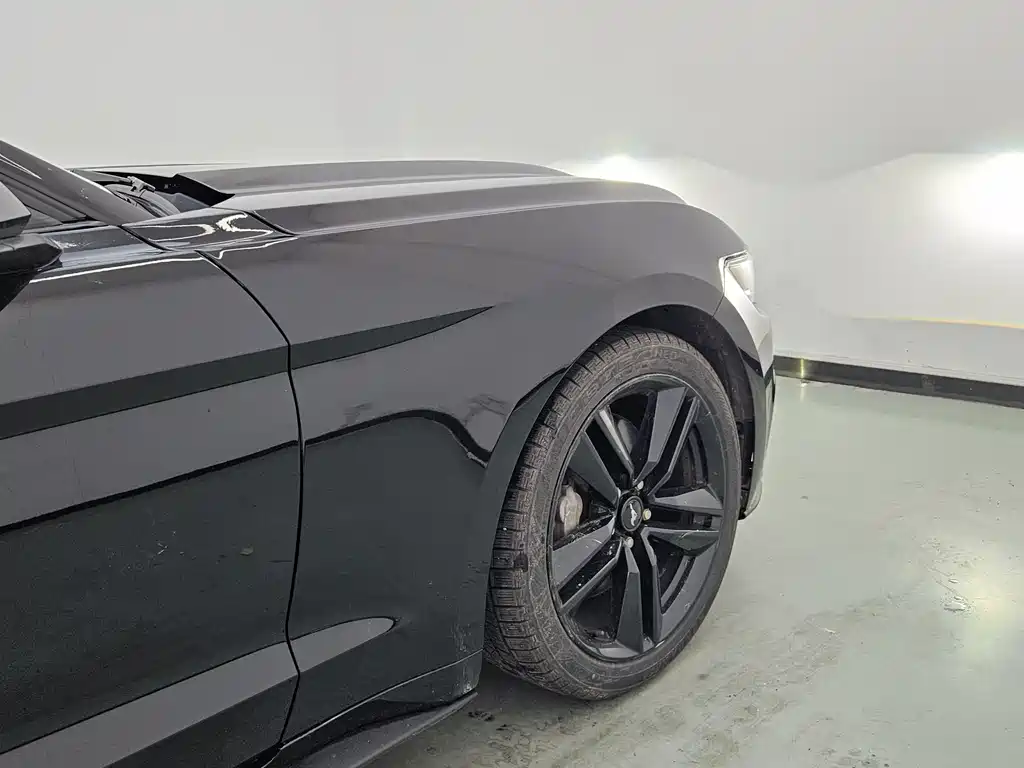 Mustang 2017 2.3T Performance Edition купить на сайте DeffCars