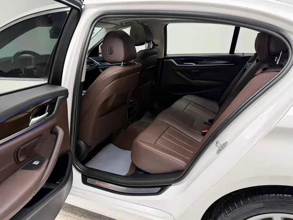 BMW 5 Series 2019 facelift 525Li luxury package купить на сайте DeffCars