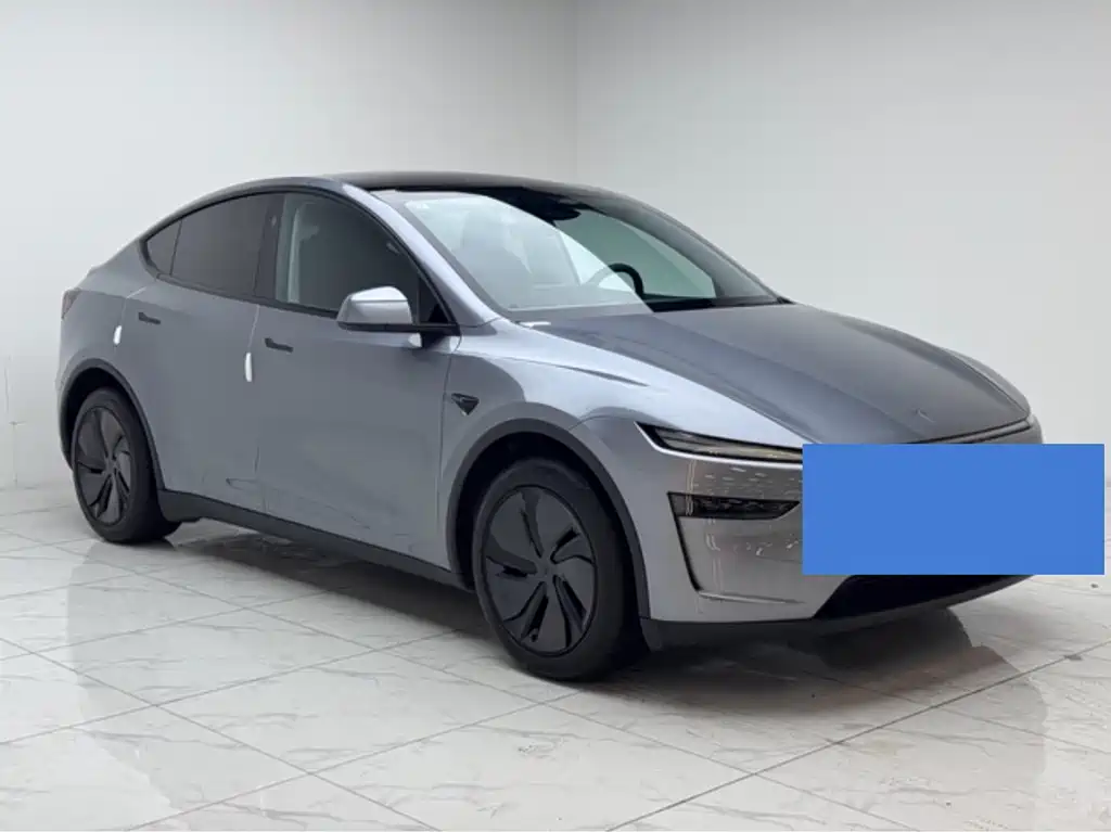 Model Y 2025 rear-wheel drive version купить на сайте DeffCars