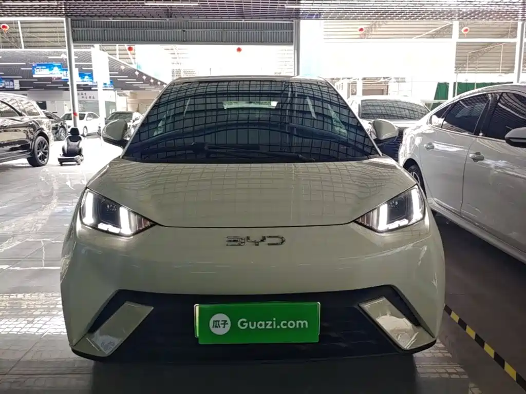 Seagull 2024 Honor Edition 305km Free купить на сайте DeffCars