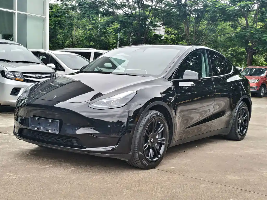 Model Y 2022 modified rear-wheel drive version купить на сайте DeffCars