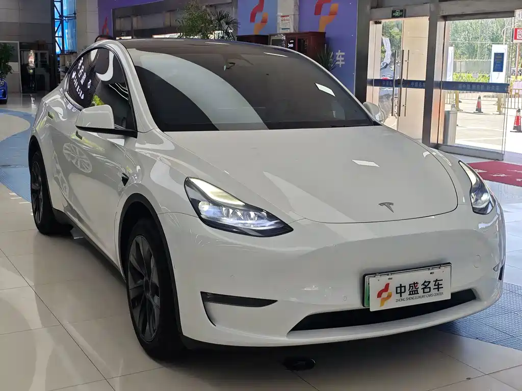 Model Y 2023 long-range all-wheel drive version купить на сайте DeffCars