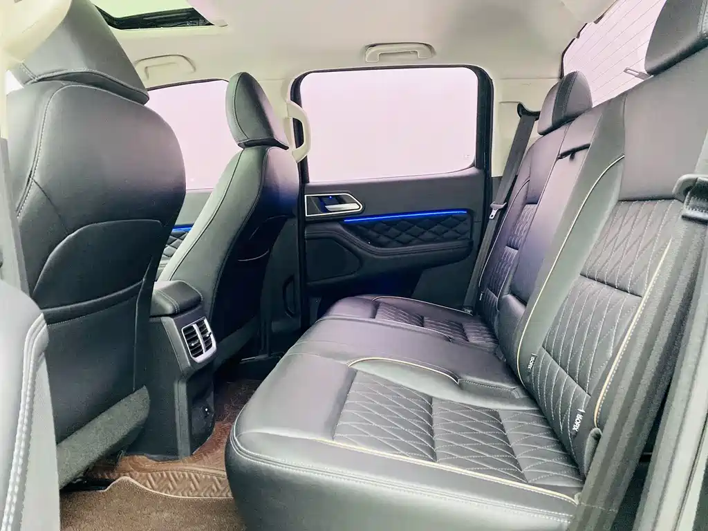 Cannon 2021 2.0T passenger global version automatic diesel four-wheel drive comfort standard box trailer version GW4D20M купить на сайте DeffCars