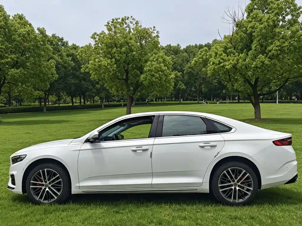 Xingrui 2021 2.0TD Premium Model купить на сайте DeffCars