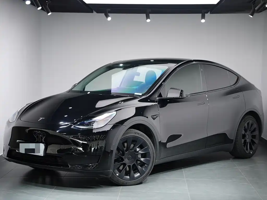 Model Y 2022 rear-wheel drive version купить на сайте DeffCars