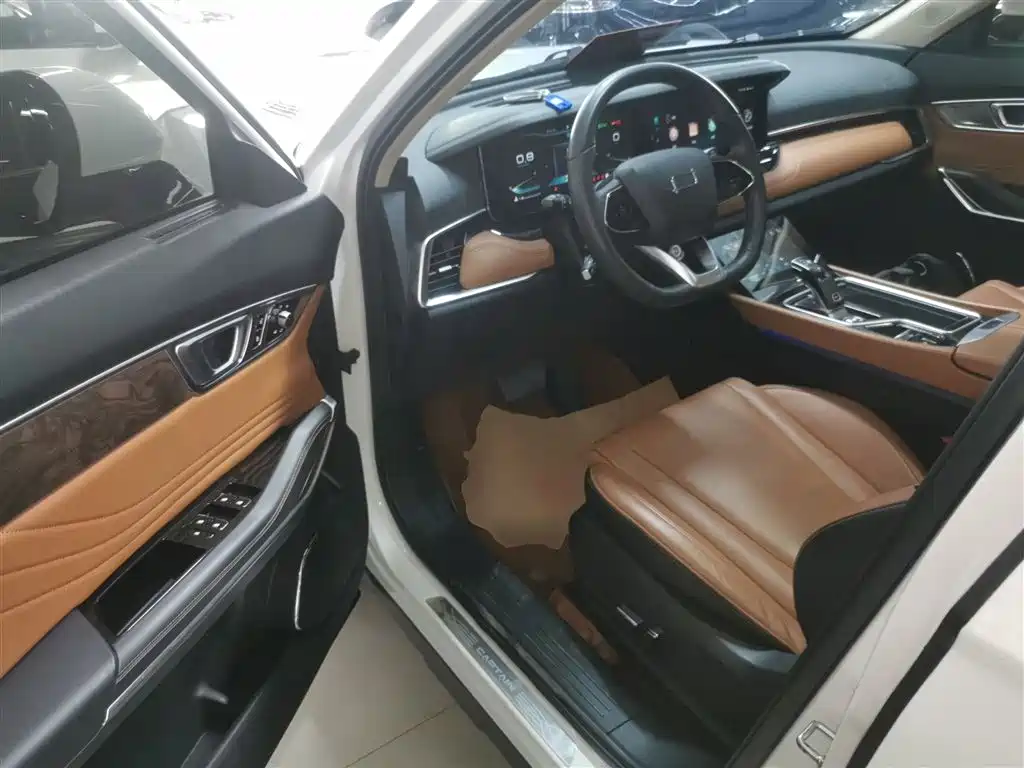Pentium T99 2023 2.0T automatic premium model купить на сайте DeffCars