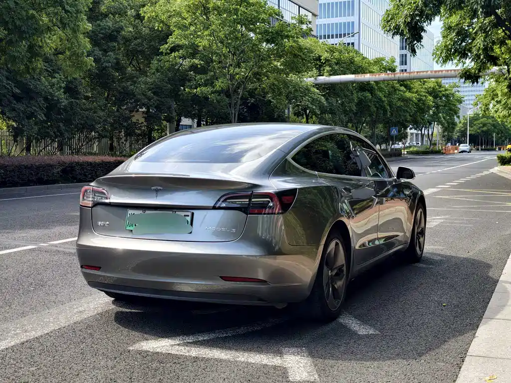 Model 3 2020 Standard Range Rear Drive Upgraded Version купить на сайте DeffCars