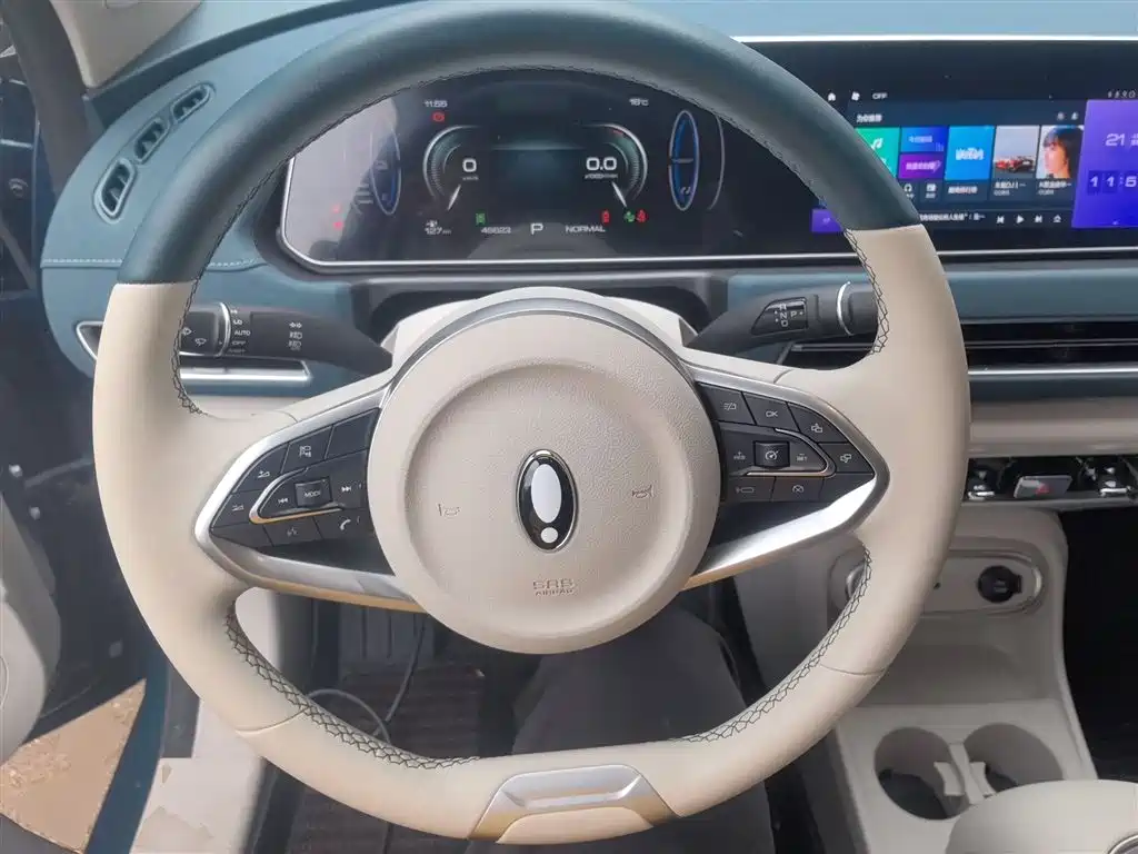 Euler Good Cat 2023 model 401km standard battery life luxury model lithium iron phosphate купить на сайте DeffCars
