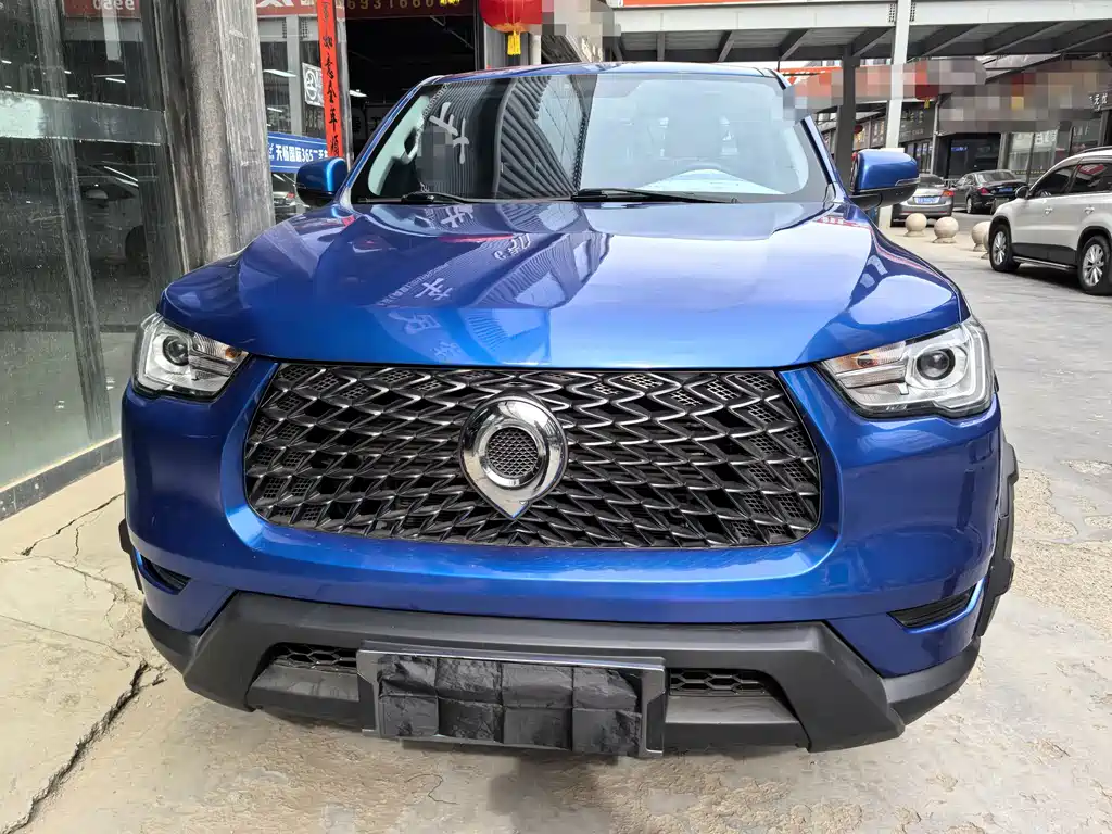 Cannon 2021 2.0T commercial version manual diesel two-wheel drive elite long box GW4D20M купить на сайте DeffCars