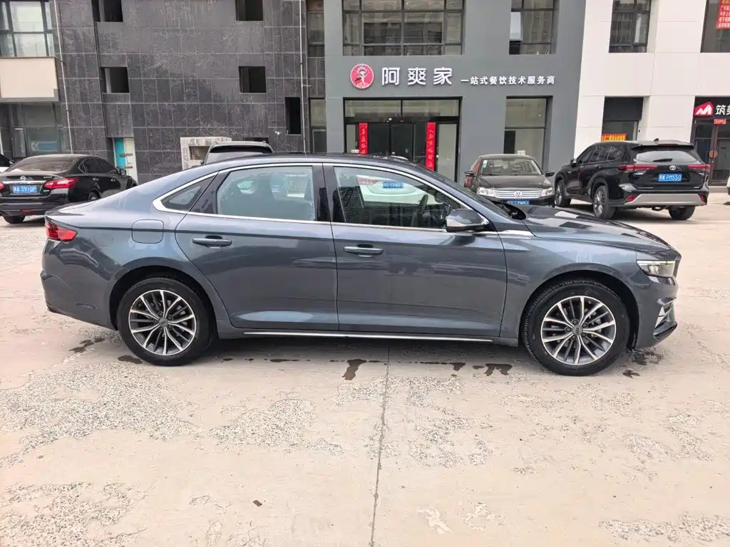 Xingrui 2023 2.0TD luxury model купить на сайте DeffCars