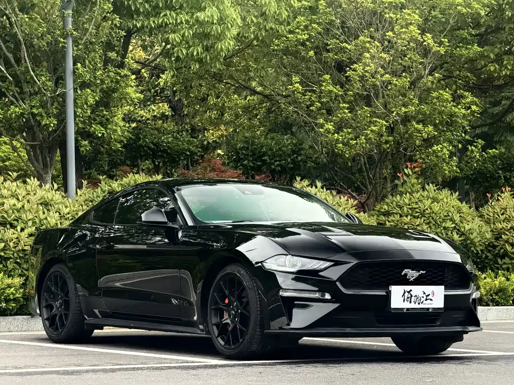 Mustang 2019 2.3L EcoBoost купить на сайте DeffCars