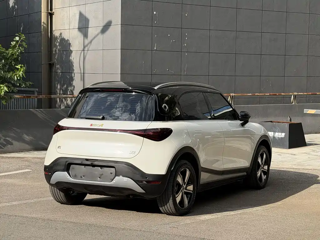 smart elf #1 2024 smart standard version купить на сайте DeffCars