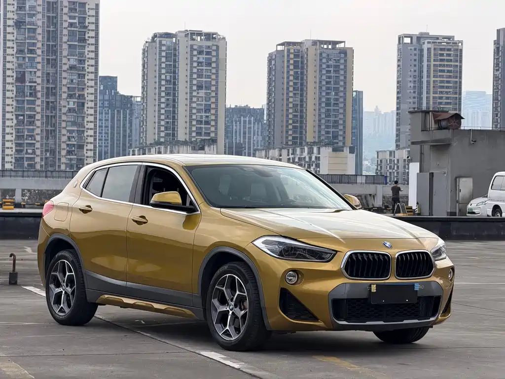 BMW X2 imported 2019 sDrive20i M off-road package National VI купить на сайте DeffCars