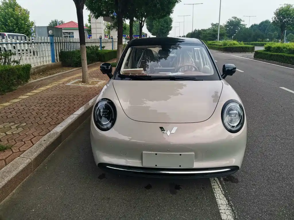 Bingo Pro 2026 330km Premium купить на сайте DeffCars