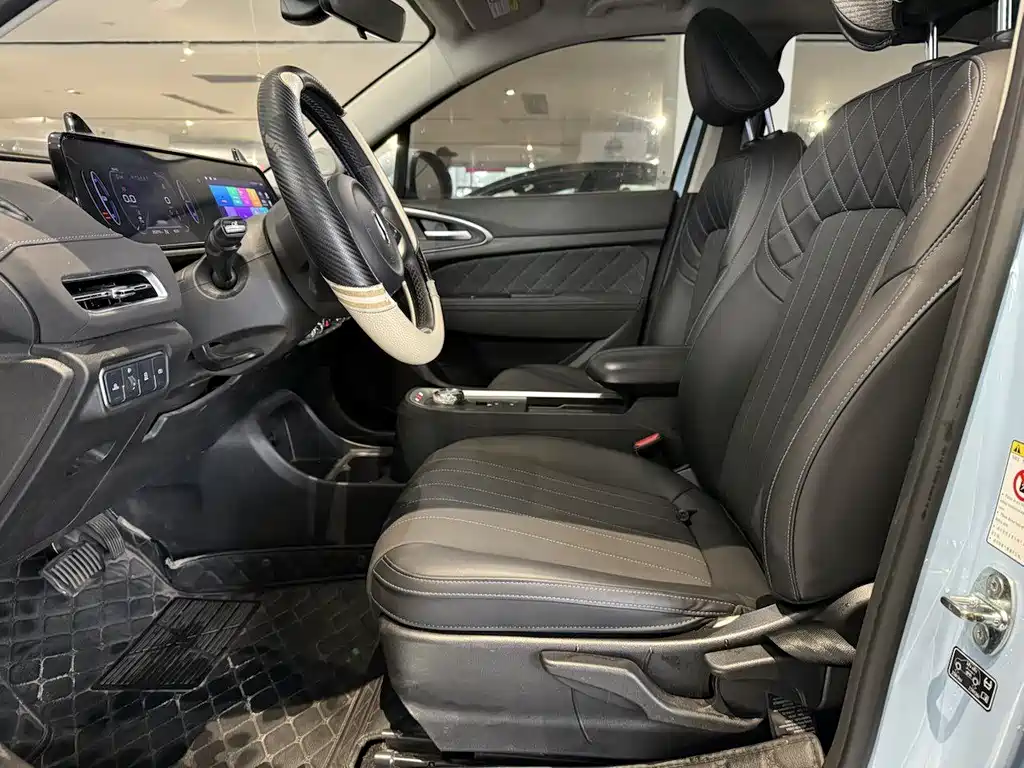 Euler Good Cat 2021 Model 400km Standard Range Venus Edition Lithium Iron Phosphate купить на сайте DeffCars