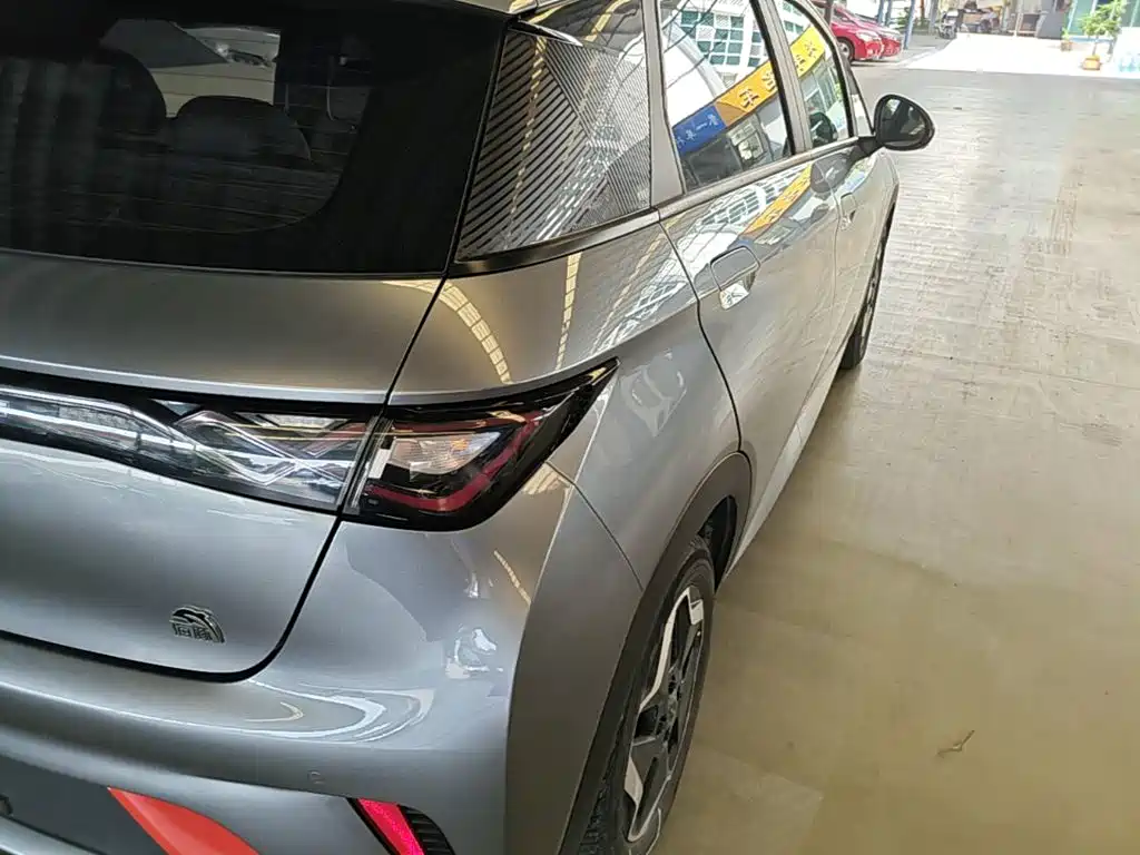 Dolphin 2021 405km Fashion Edition купить на сайте DeffCars