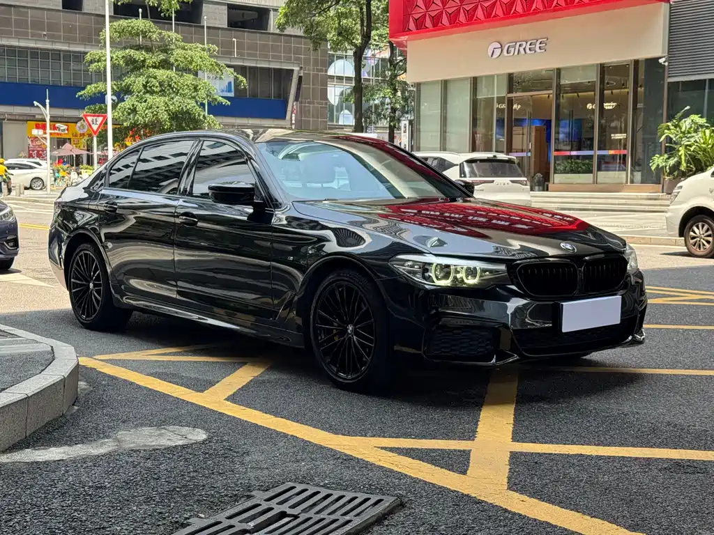 BMW 5 Series 2019 facelift 530Li leading M sports package купить на сайте DeffCars