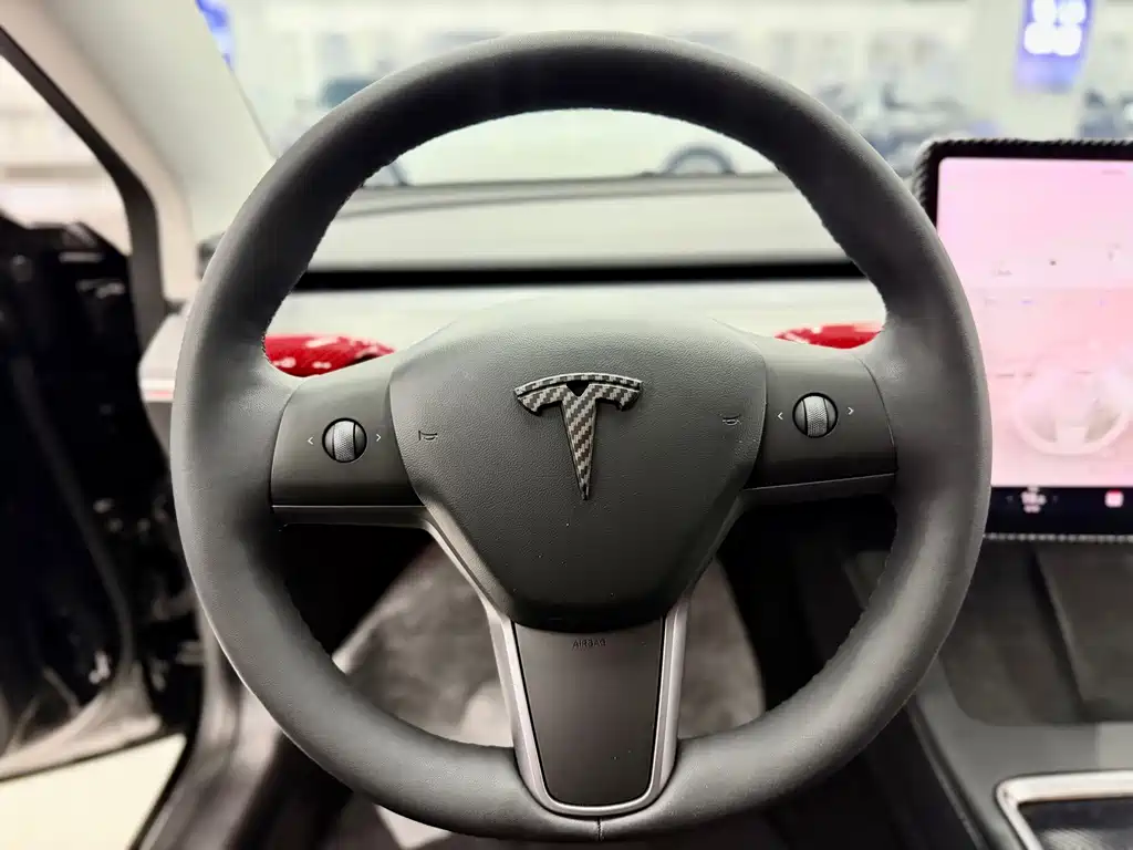 Model 3 2021款 标准续航后驱升级版 3D6 купить на сайте DeffCars