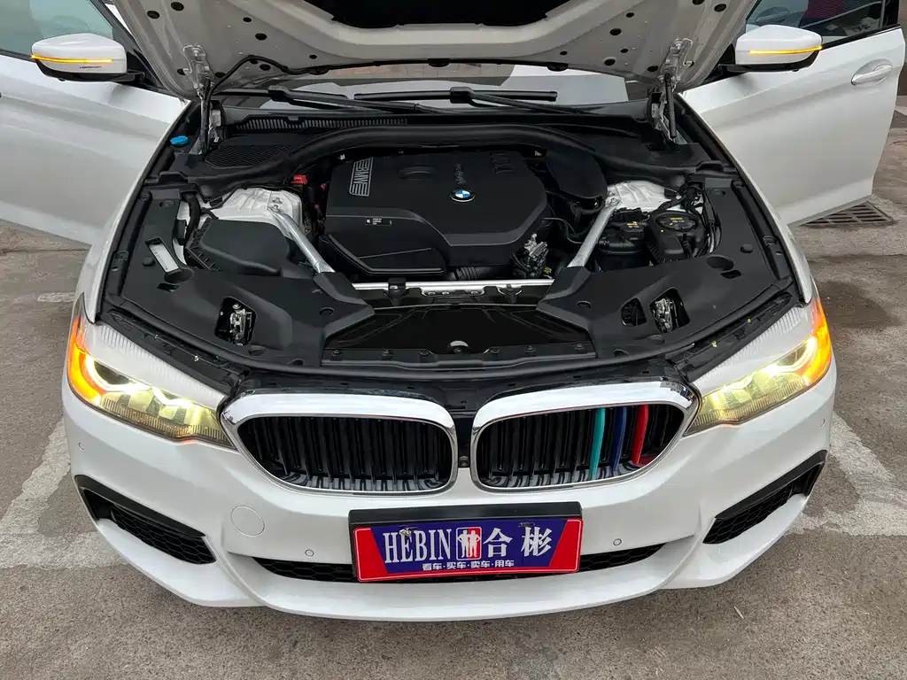 BMW 5 Series 2020 530Li Leading M Sports Package купить на сайте DeffCars