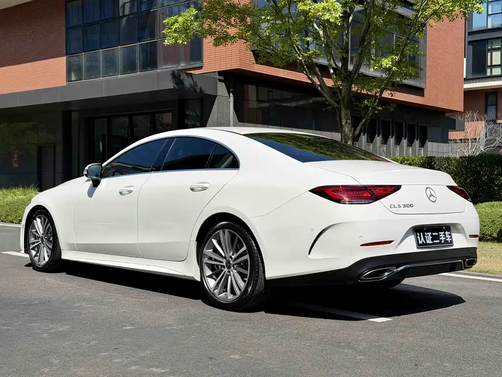 Mercedes-Benz CLS 2020 CLS 300 Dynamic купить на сайте DeffCars