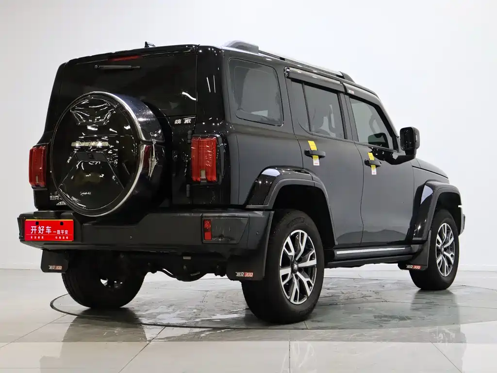 Tank 300 2021 City Edition 2.0T Very Stylish купить на сайте DeffCars