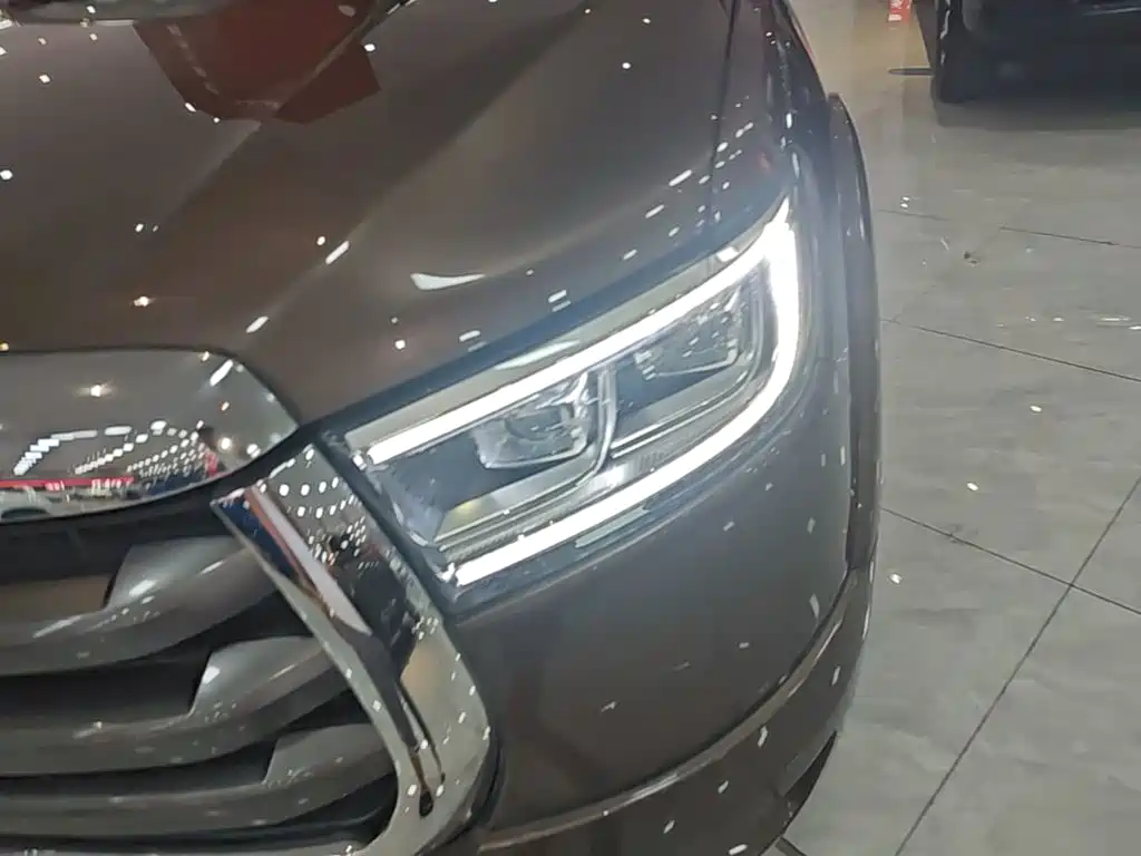 Cannon 2021 2.0T Passenger Global Version Automatic Diesel Two-wheel Drive Comfort Standard Box GW4D20M купить на сайте DeffCars