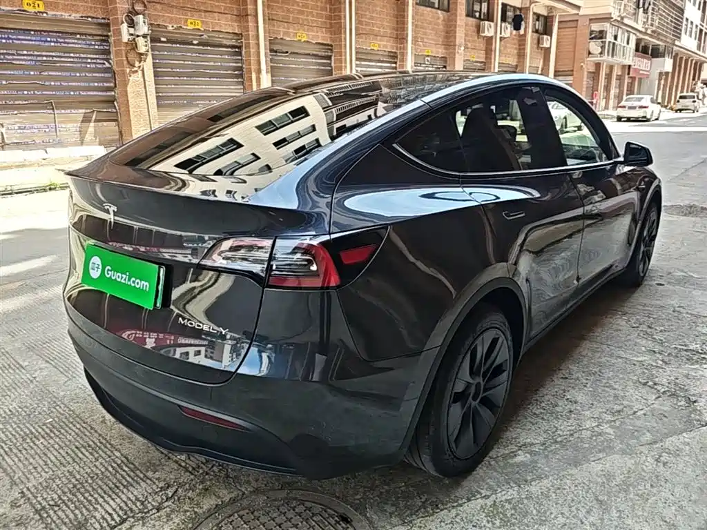 Model Y 2024 rear-wheel drive version купить на сайте DeffCars