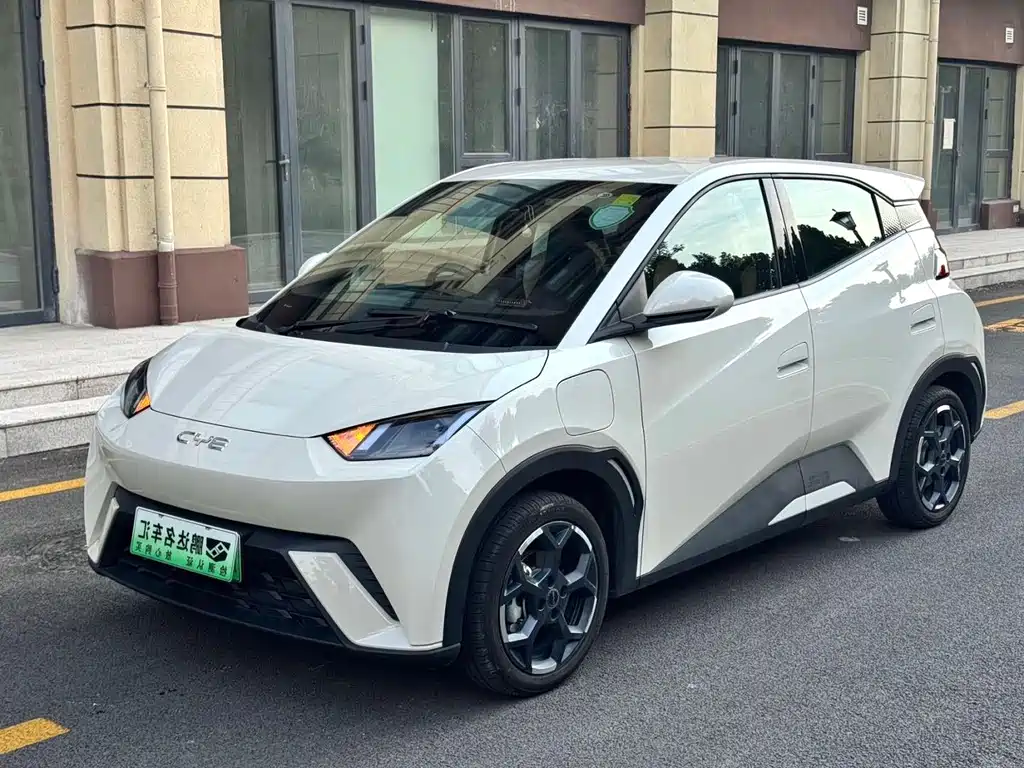 Seagull 2025 405km Flying Edition купить на сайте DeffCars