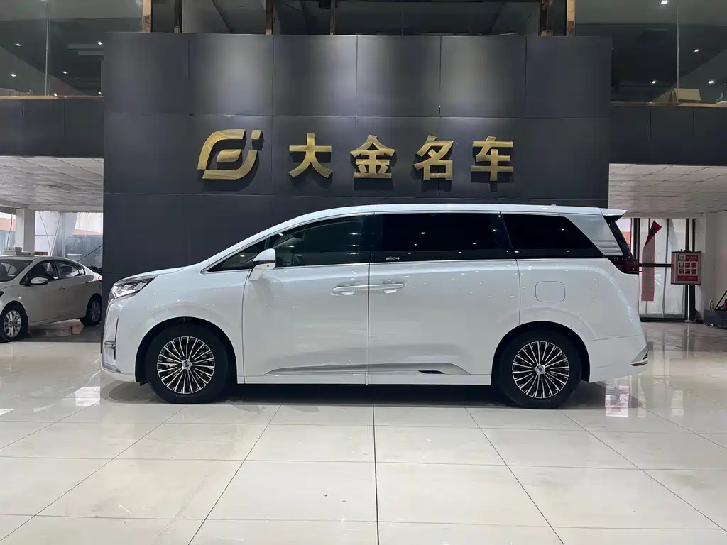 Denza D9 2024 DM-i 1050 Exclusive Type купить на сайте DeffCars