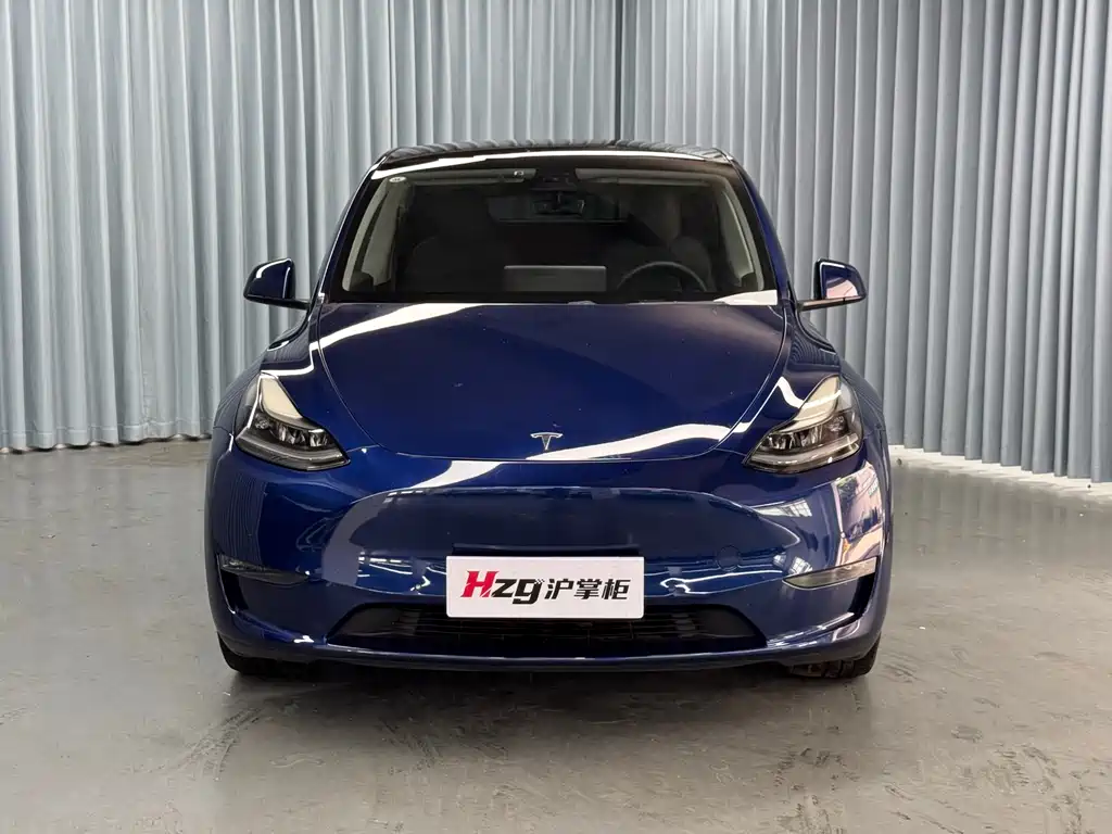 Model Y 2021款 长续航全轮驱动版 купить на сайте DeffCars