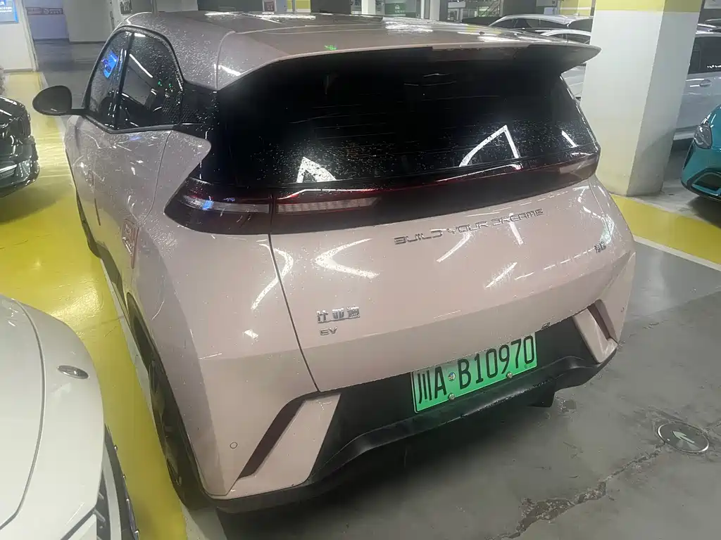 Seagull 2023 Vitality Edition купить на сайте DeffCars