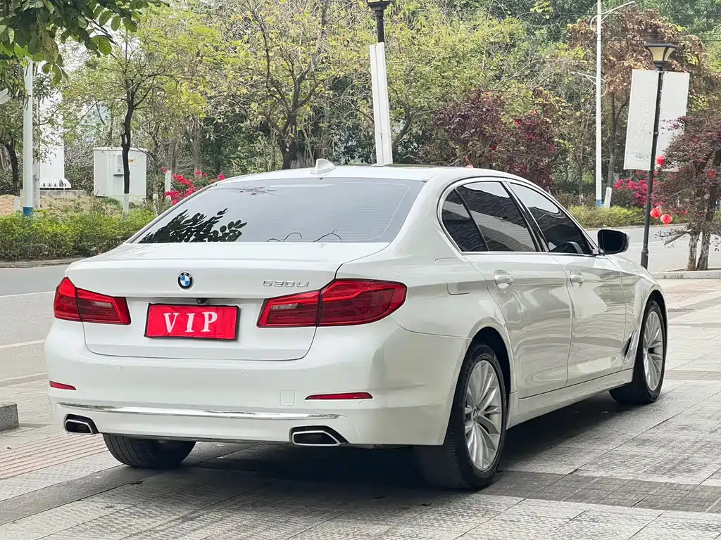 BMW 5 Series 2019 530Li Leading Luxury Package купить на сайте DeffCars