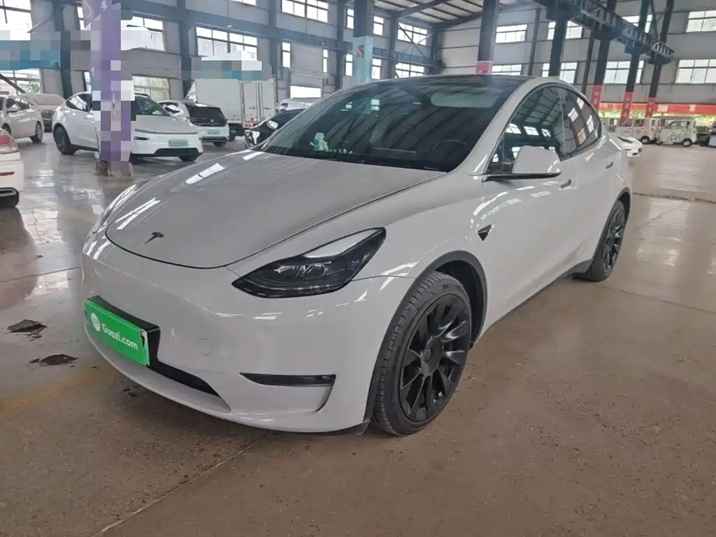 Model Y 2021 standard range rear-wheel drive version купить на сайте DeffCars