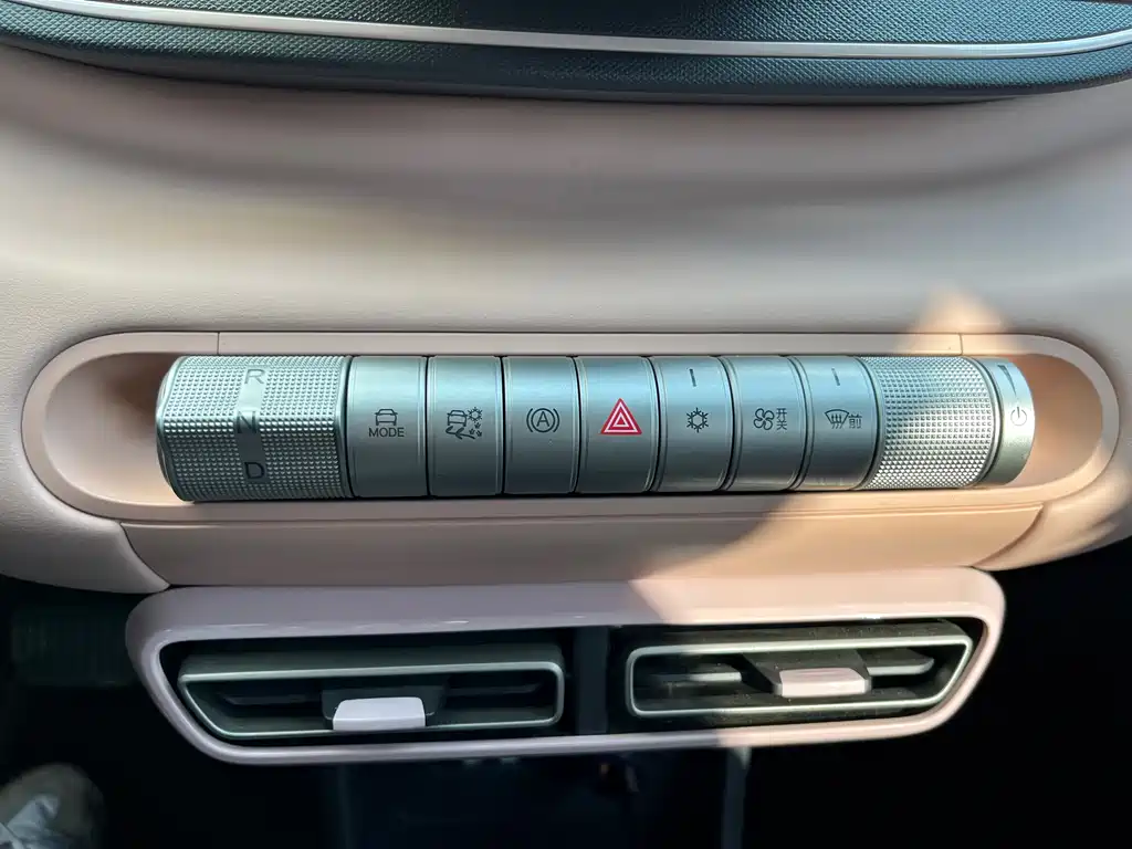 Seagull 2025 model 305km free version купить на сайте DeffCars