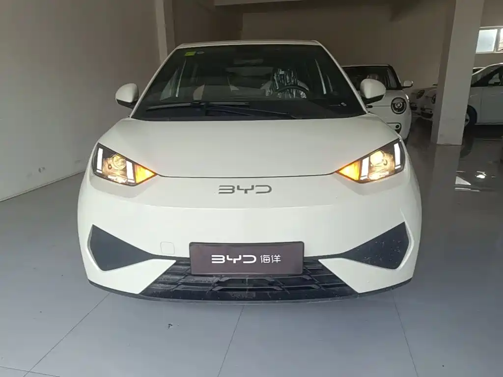Seagull 2025 305km active version купить на сайте DeffCars